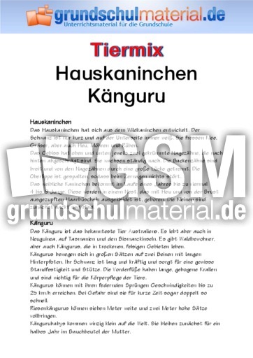 Hauskaninchen - Känguru.pdf